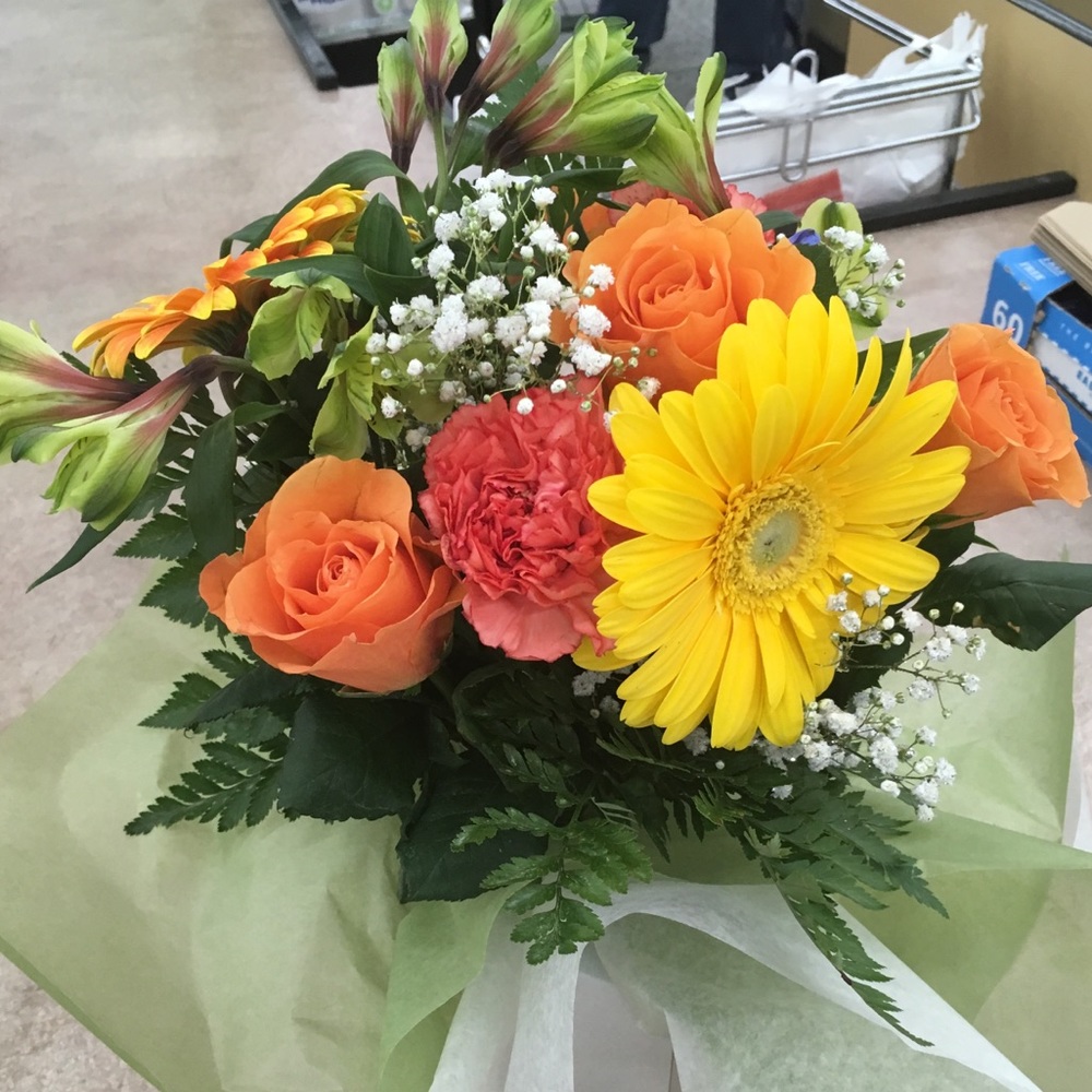 Meet your Posher, Donna